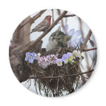 Fantasy fairy kitten and bird nest refrigerator magnets
