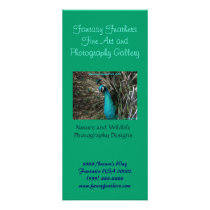 Fantasy Feathers Peafowl business Rack Card