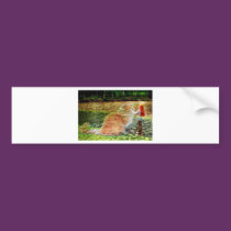 Fantasy For You bumper stickers