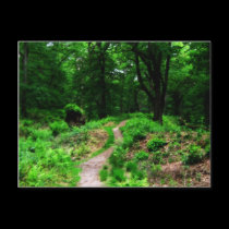 Fantasy Forest Post Cards