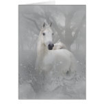 Fantasy Horse Card