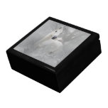 Fantasy Horse Gift Box (2) sizes