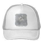 Fantasy Horse Mesh Hat