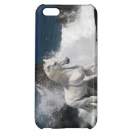 Fantasy Horses: Southern Seas iPhone 5C Cases