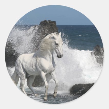 Fantasy Horses: Southern Seas Classic Round Sticker