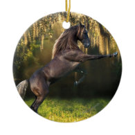 Fantasy Horses: Warrior Prince Christmas Tree Ornament