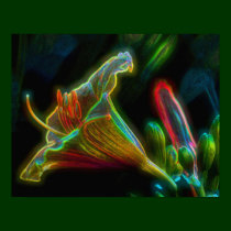 Fantasy Lily Flower Art Poster posters