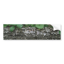 fantasy photography bumper stickers