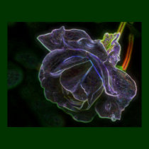Fantasy Purple Rose Flower Poster posters