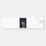 fantasy ship bumper sticker
