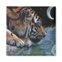 Fantasy Tiger & Moon magnets
