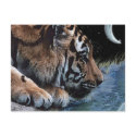 Fantasy Tiger & Moon postcards by RavenSpiritPrints Fantasy Tiger & Moon postcards