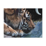 Fantasy Tiger & Moon Postcards