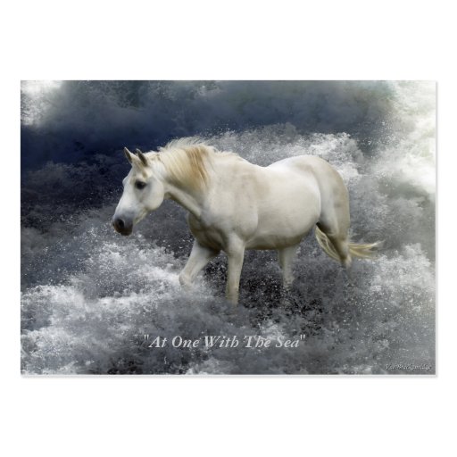 Fantasy White Horse & Ocean Surf Business Card (back side)