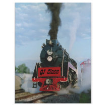 FAP193 flyers