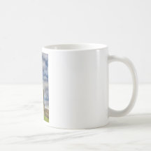 FAP320. MUG