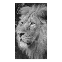 Far Away Look bw business cards by dawnmcininch Far Away Look bw business cards