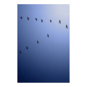 Far From Home posters by softshapeart Far From Home posters