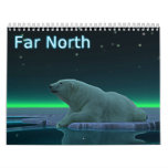 bear, polar bear, black bear, moose, caribou, orca, killer whale, animals, alaska, walrus, reindeer, wildlife, nature, aurora, northern lights, aurora brealis, nature art, nature gifts, wildlife art, wildlife gifts, animal art, animal gifts, arctic, rangifer tarandus, ursus americanus, devoe, david devoe, ursus maritimus, odobenus rosmarus, alces
