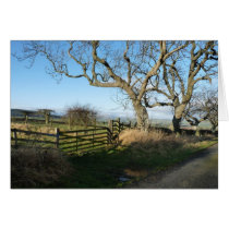 "Far Reaching Views" Northumberland England Cards