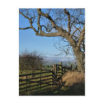 "Far Reaching Views" Northumberland England Post Cards