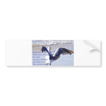 Farewell_ Bumper Sticker