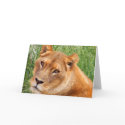 Farewell_ Card_by Elenne by ELENNE Farewell_ Card_by Elenne