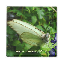 farfalla bianca fridge magnets