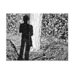 Farie Shadow Postcards