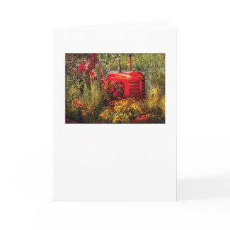 Farm - A pony grazing card