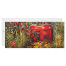 Farm - A pony grazing Custom Rack Cards