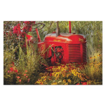 Farm - A pony grazing Personalized Stationery