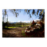farm, truck, rims, rusty, rustic, open, space,
