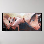 Farm Animal #1 Posters