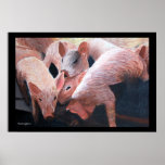 Farm Animal #2 Print