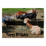 Farm Animal Friends Nature Birthday Card