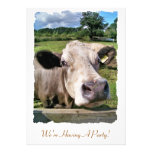 FARM ANIMALS, CUTE COW CUSTOM INVITATIONS