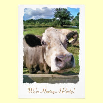 FARM ANIMALS, CUTE COW invitations