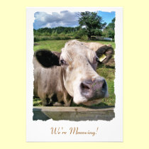 FARM ANIMALS, CUTE COW invitations