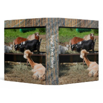 Farm Animals Personalized Photo School Binder