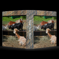 Farm Animals Personalized Photo School Binder by SmilinEyesTreasures Farm Animals Personalized Photo School Binder