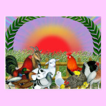 Farm Animals postcards