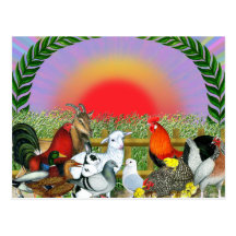 Farm Animals Postcard