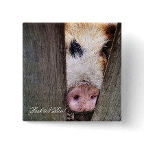 FARM ANIMALS UK buttons by thewildside FARM ANIMALS UK buttons