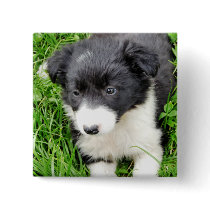 FARM ANIMALS UK buttons by thewildside FARM ANIMALS UK buttons
