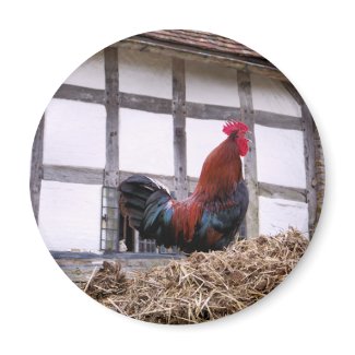 FARM ANIMALS UK magnet