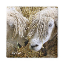 FARM ANIMALS UK magnets