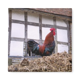 FARM ANIMALS UK magnet