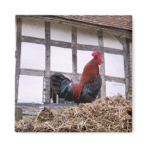 FARM ANIMALS UK magnets