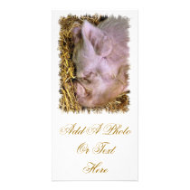FARM ANIMALS UK photo cards by thewildside FARM ANIMALS UK photo cards